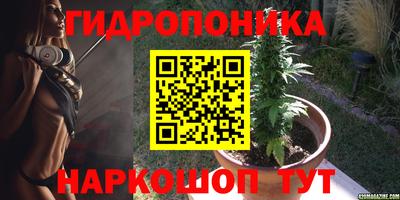 прущие грибы Дубна