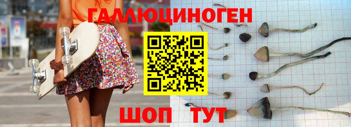 Псилоцибиновые грибы MAGIC MUSHROOMS  наркошоп  Хасавюрт  Вход с VPN 