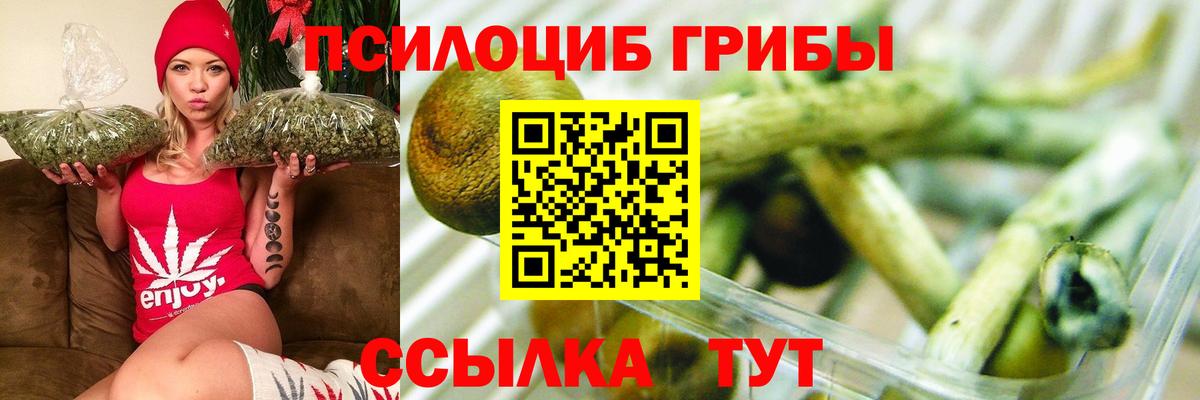 Галлюциногенные грибы прущие грибы Хасавюрт