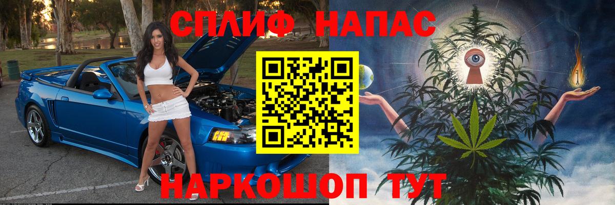 Бошки марихуана конопля  Вход с VPN  Конопля семена  Хасавюрт  Конопля марихуана 
